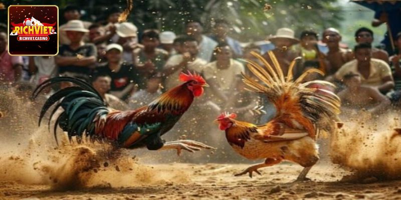 Khám phá những điểm nổi bật
