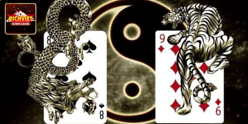Khám phá những cửa cược rồng hổ